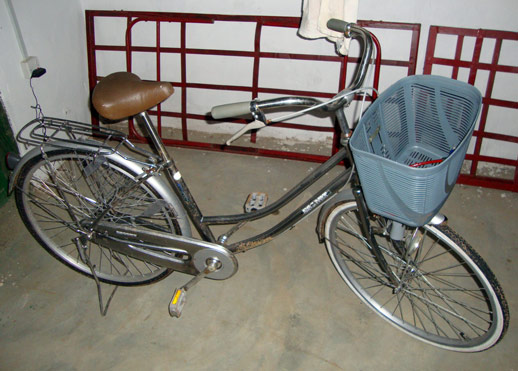 Max's Fahrrad