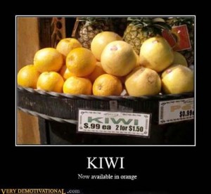 Kiwi in Orange